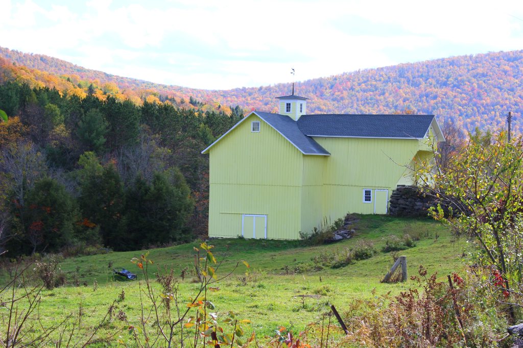 ©2014 Mountain Girl Photography & Design