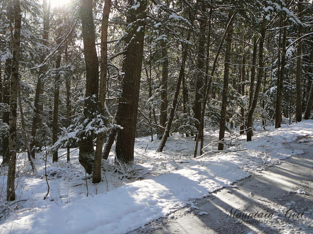 waiting-for-winter-logo