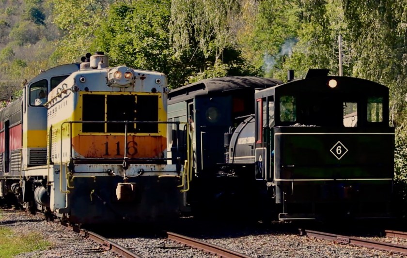 Steam and Diesel locomotives side by side DURR