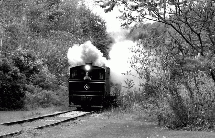 Viscose #6 Steam Engine fall run on the DURR