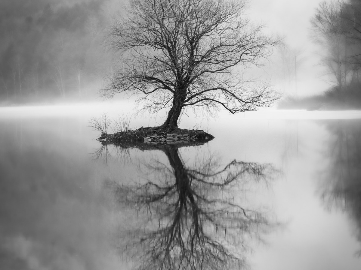 The Archiving of a Seven Year&nbsp;Blog